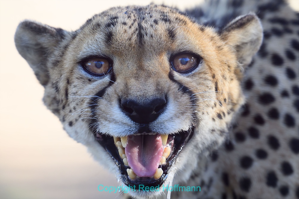 20250423_NamibiaD01_017E.DNG