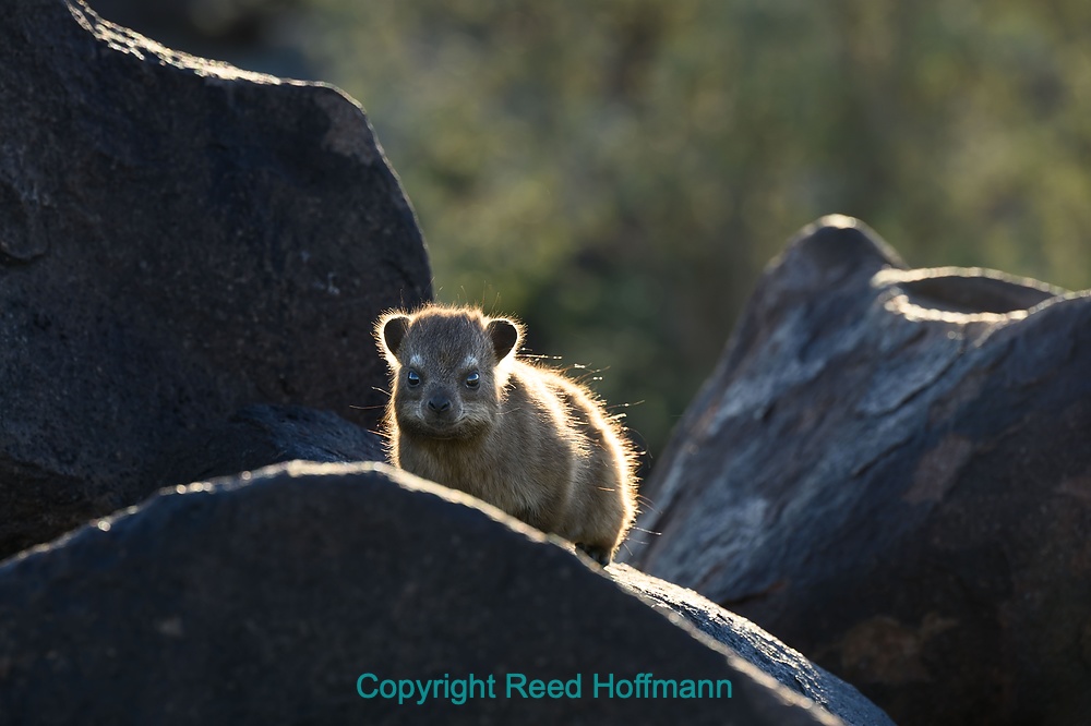 20250423_NamibiaD01_062E.DNG