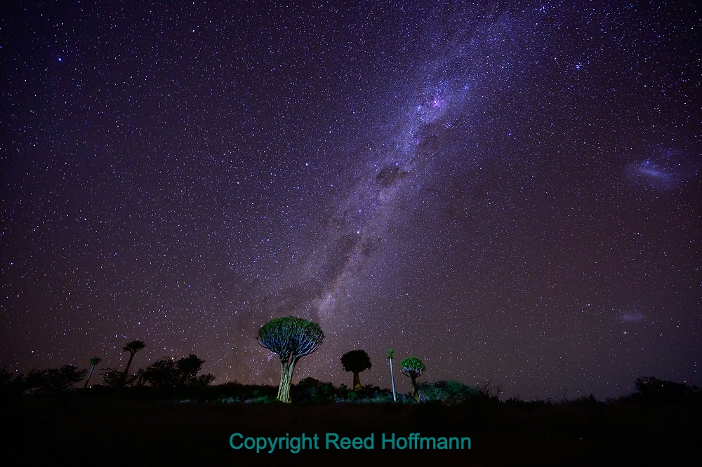 20250423_NamibiaD01_112.DNG