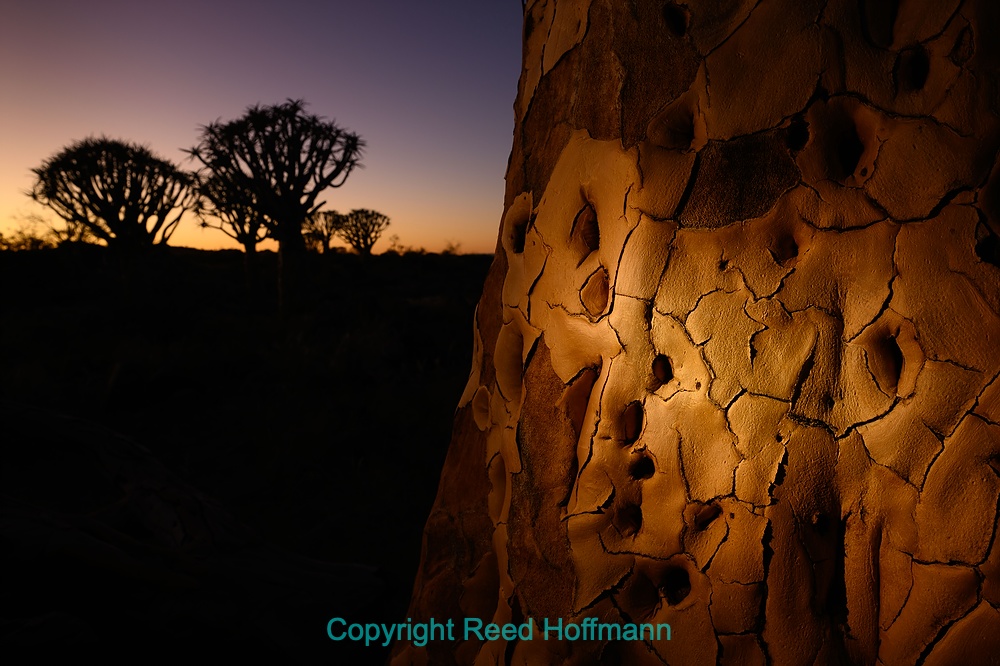 20250424_NamibiaD02_026E.DNG