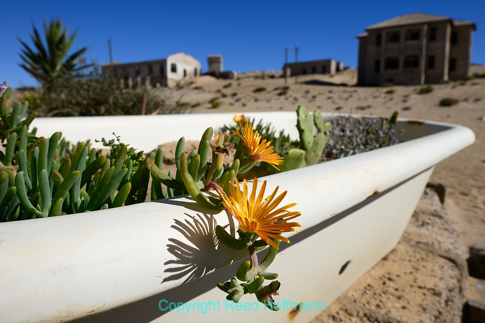 20250424_NamibiaD02_049E.DNG