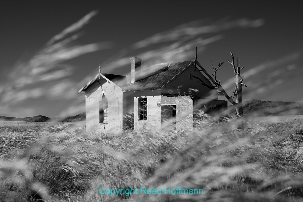 20250425_NamibiaD03_007E.DNG