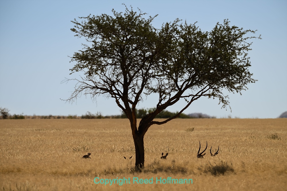 20250425_NamibiaD03_061E.DNG