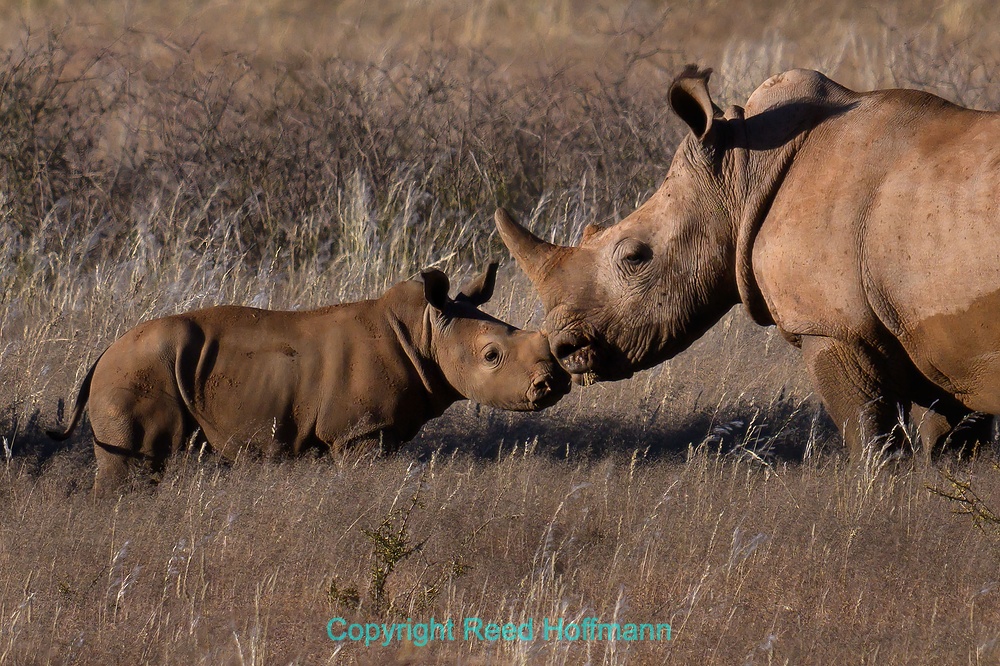 20250425_NamibiaD03_082E.DNG
