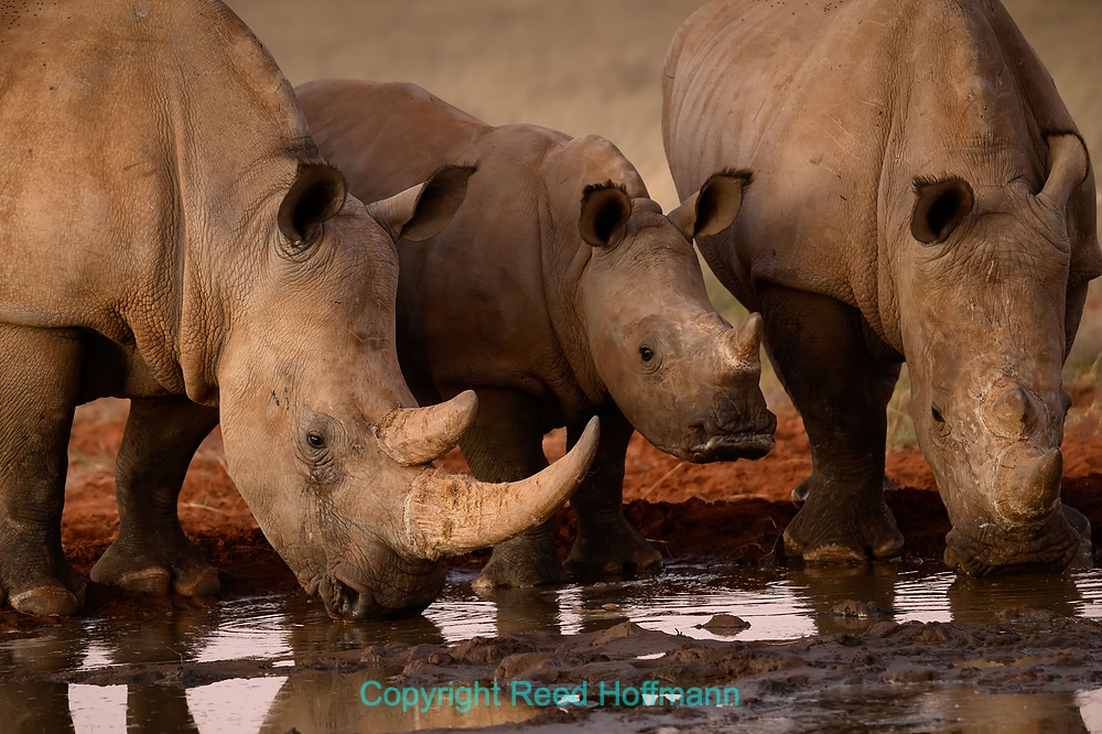 20250425_NamibiaD03_239E.DNG