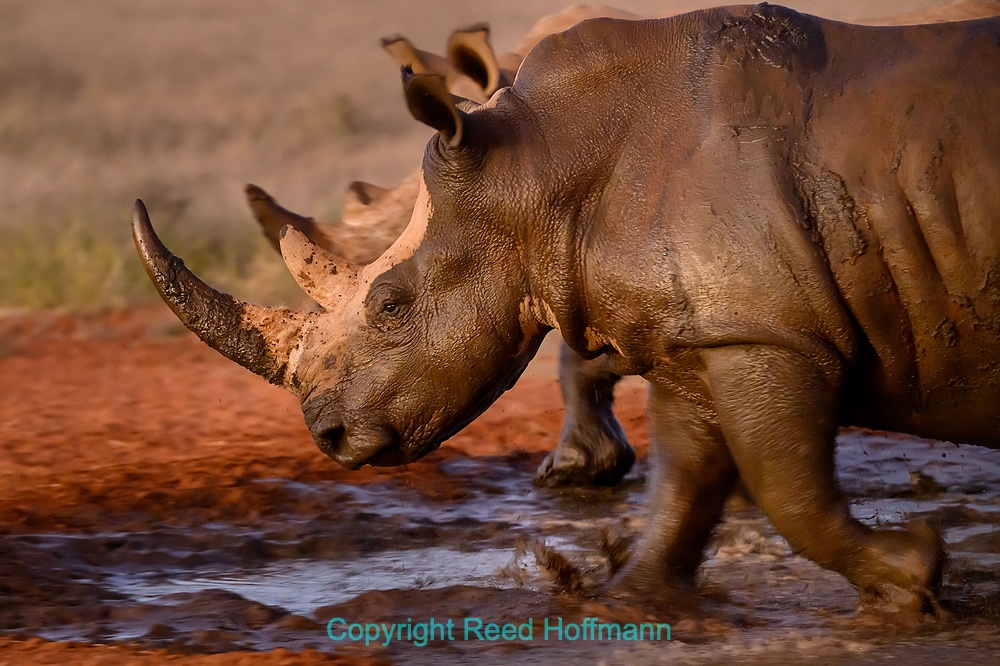 20250425_NamibiaD03_325E.DNG