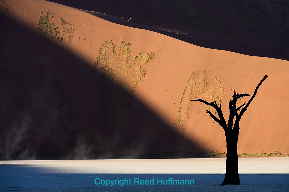 20250426_NamibiaD04_027E.DNG