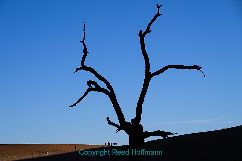 20250426_NamibiaD04_047E.DNG