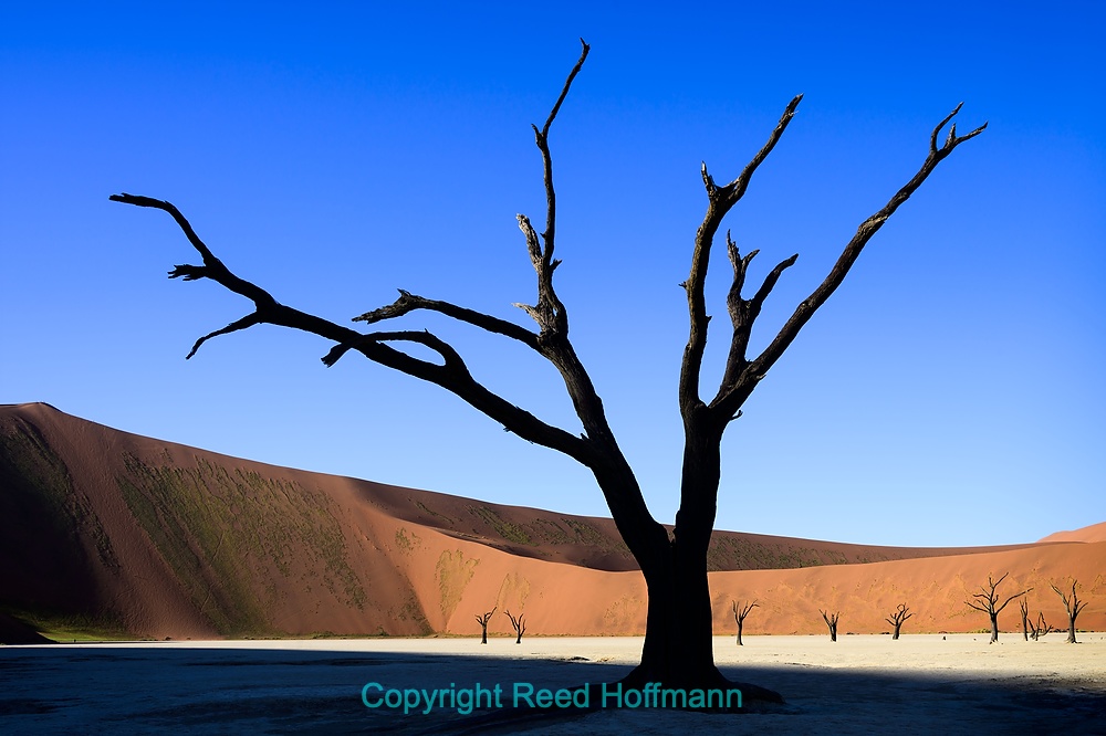 20250426_NamibiaD04_072E.DNG