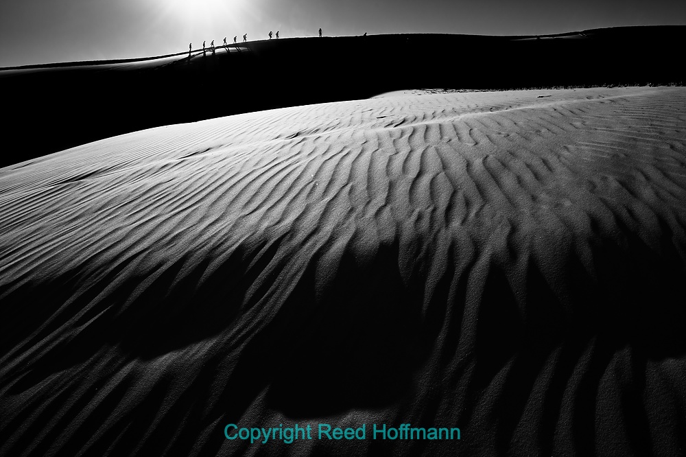 20250426_NamibiaD04_086E_1.DNG