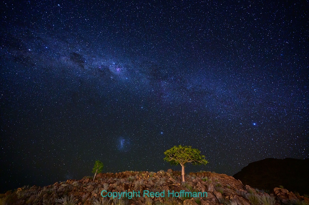 20250426_NamibiaD04_208.DNG