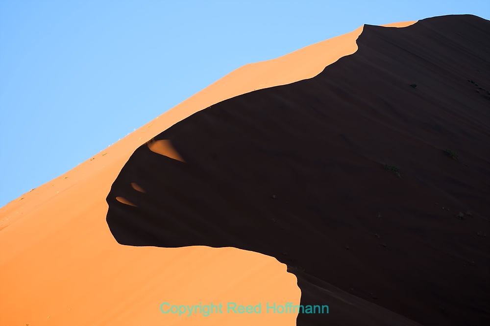 20250427_NamibiaD05_037E.DNG