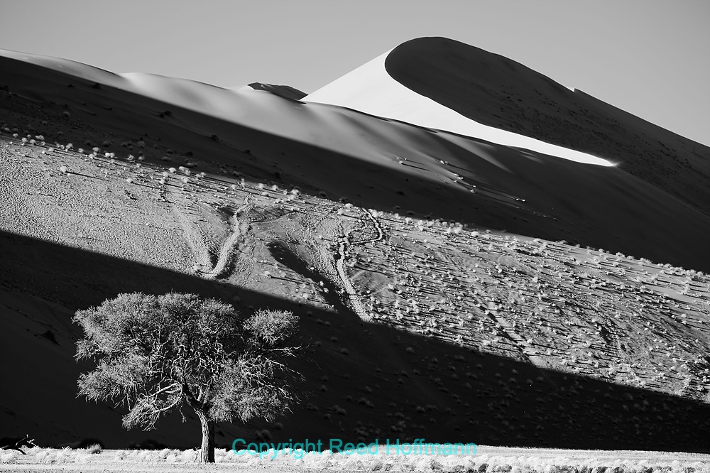 20250427_NamibiaD05_064E.DNG