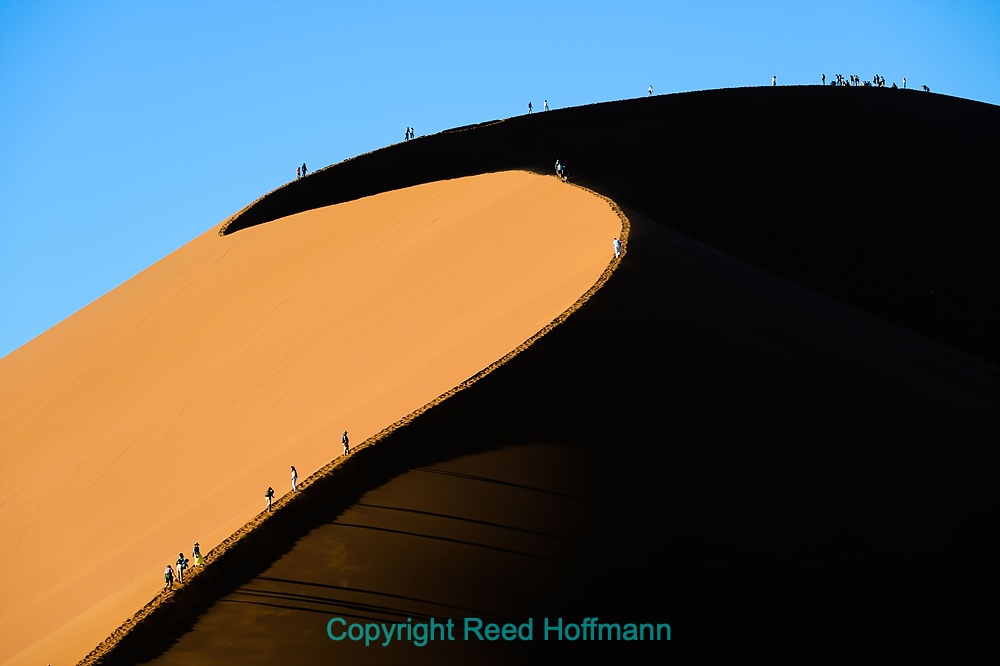 20250427_NamibiaD05_071EE.DNG