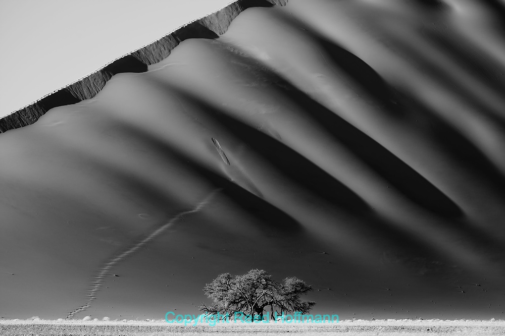 20250427_NamibiaD05_101E.DNG