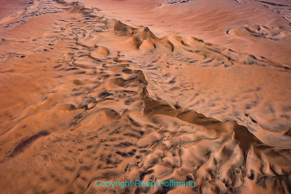 20250427_NamibiaD05_183EE_1.DNG