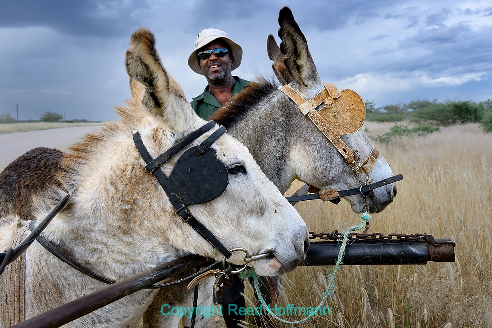 20250428_NamibiaD06_063E.DNG