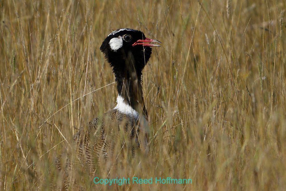 20250429_NamibiaD07_165.NEF