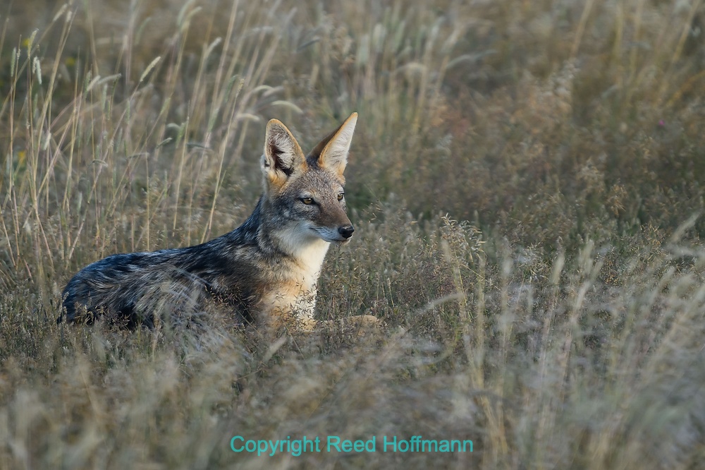 20250429_NamibiaD07_203E.DNG