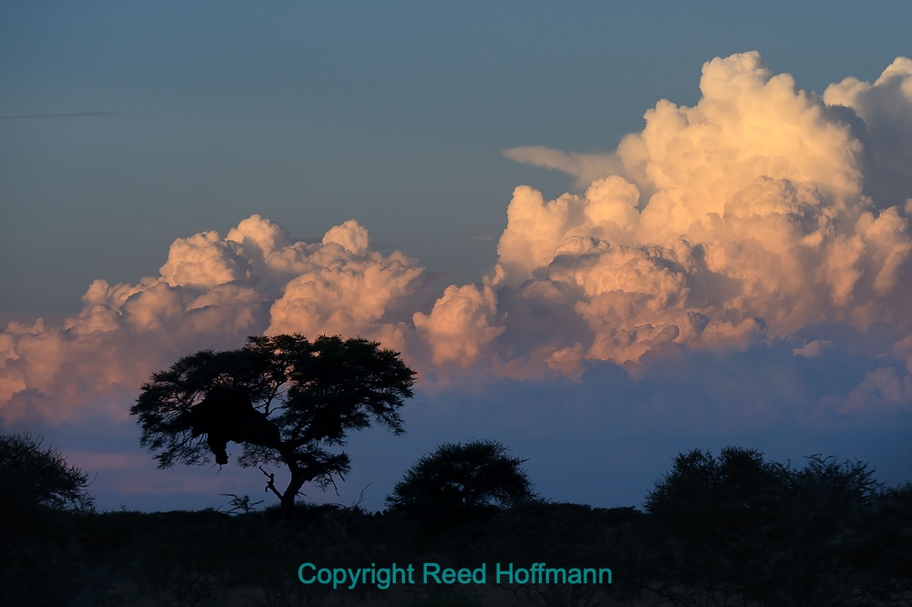 20250429_NamibiaD07_220E_1.DNG