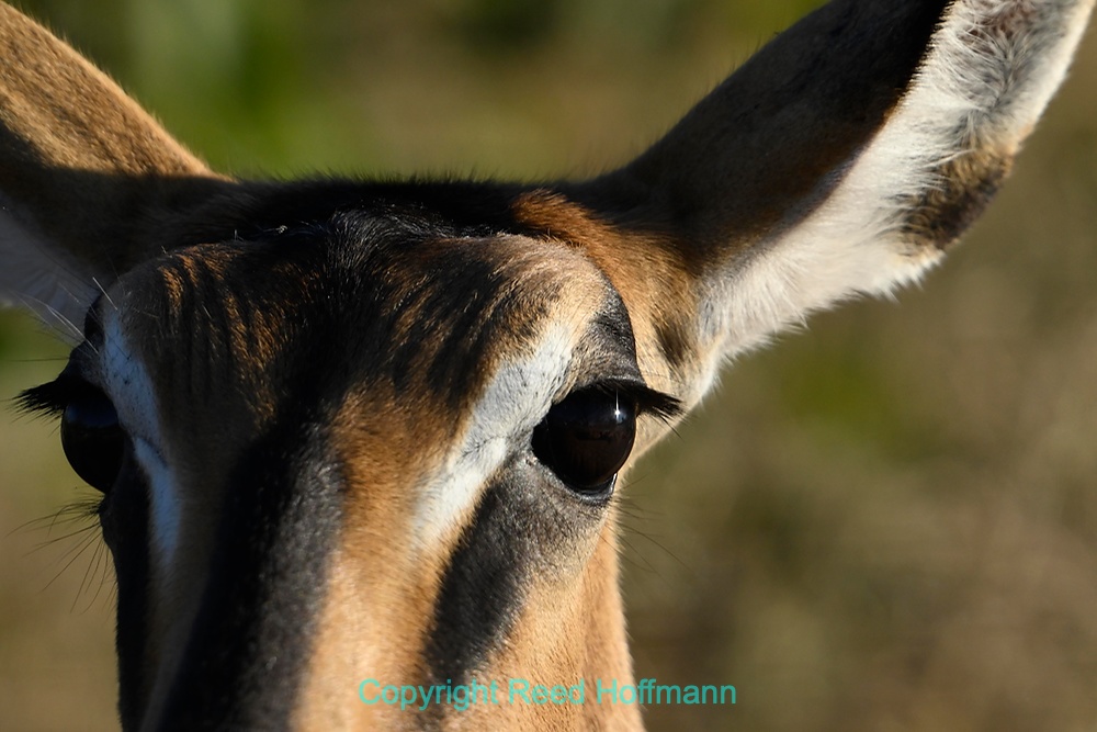 20250430_NamibiaD08_016.NEF