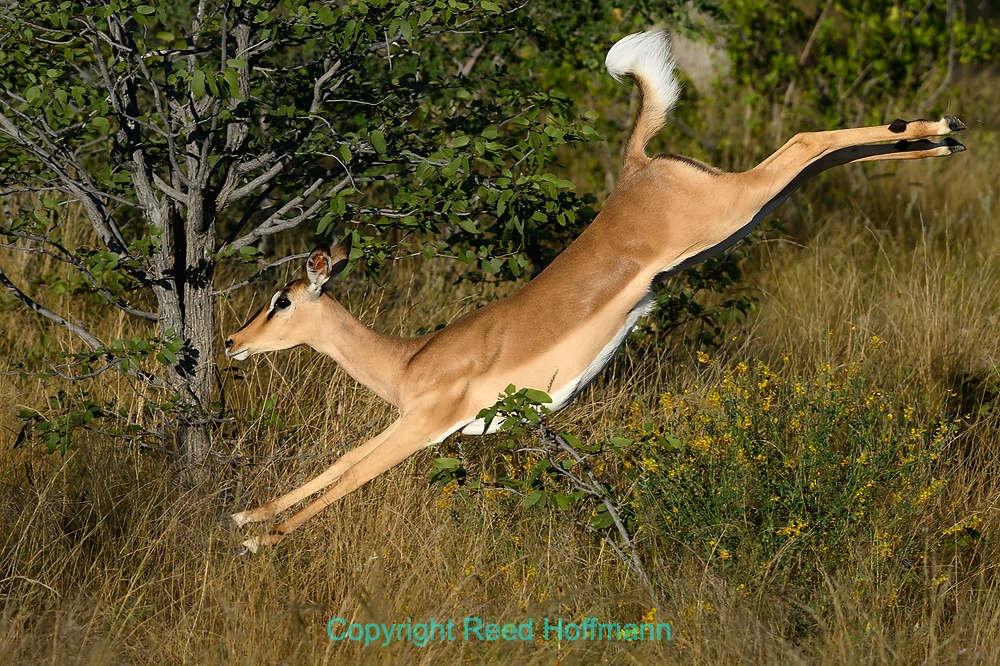 20250430_NamibiaD08_024.DNG