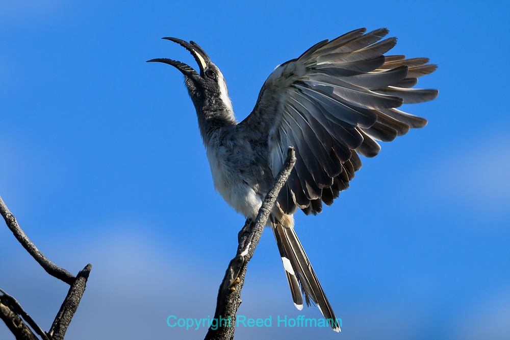 20250430_NamibiaD08_031E.DNG