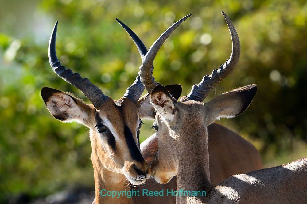 20250430_NamibiaD08_043E.DNG