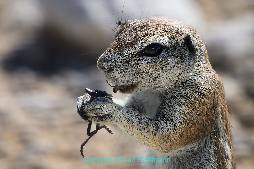 20250430_NamibiaD08_058E.DNG