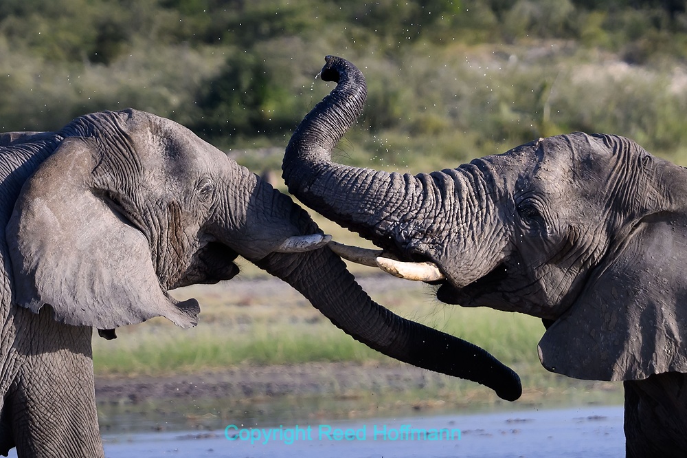 20250430_NamibiaD08_134E.DNG