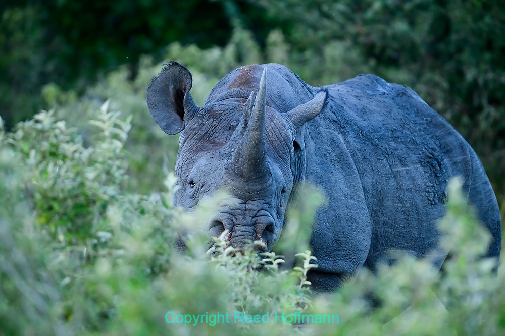 20250430_NamibiaD08_185E.DNG