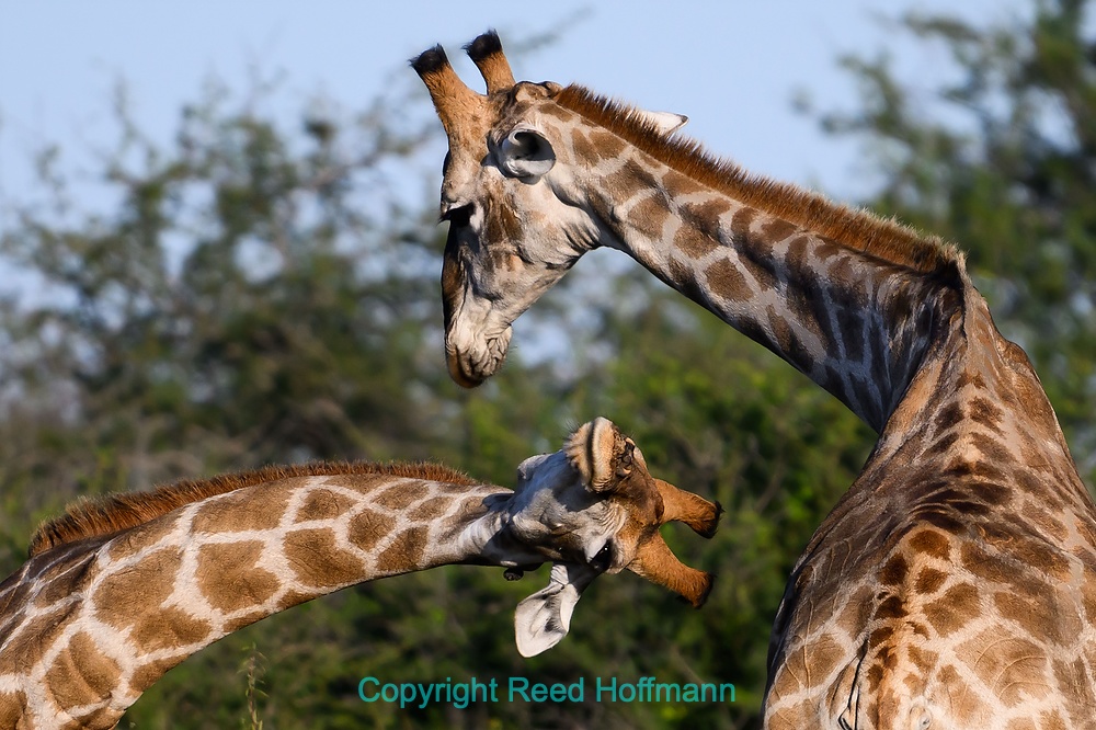 20250501_NamibiaD09_004EE.DNG