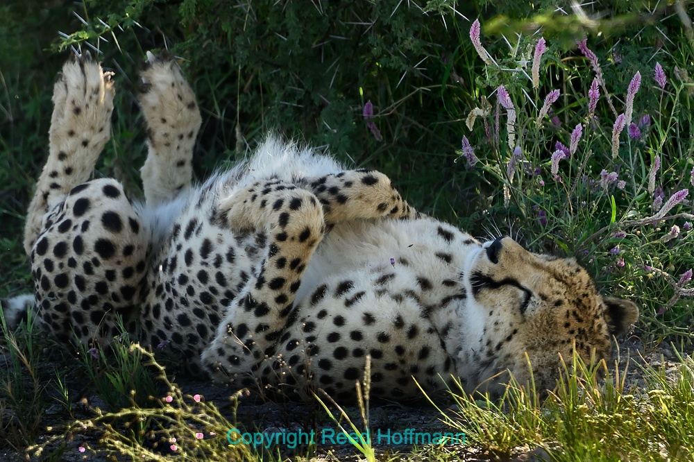 20250501_NamibiaD09_023E.DNG