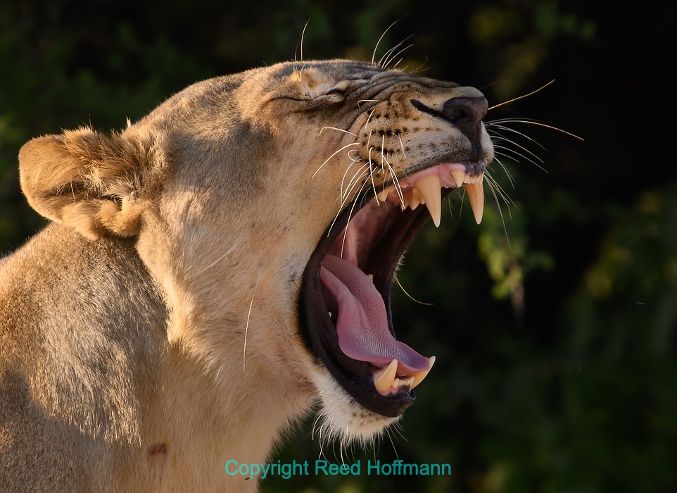 20250501_NamibiaD09_104E.DNG