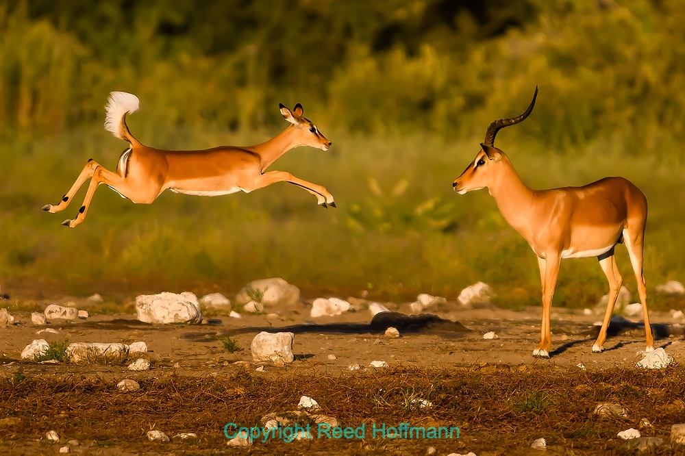 20250501_NamibiaD09_130E.DNG