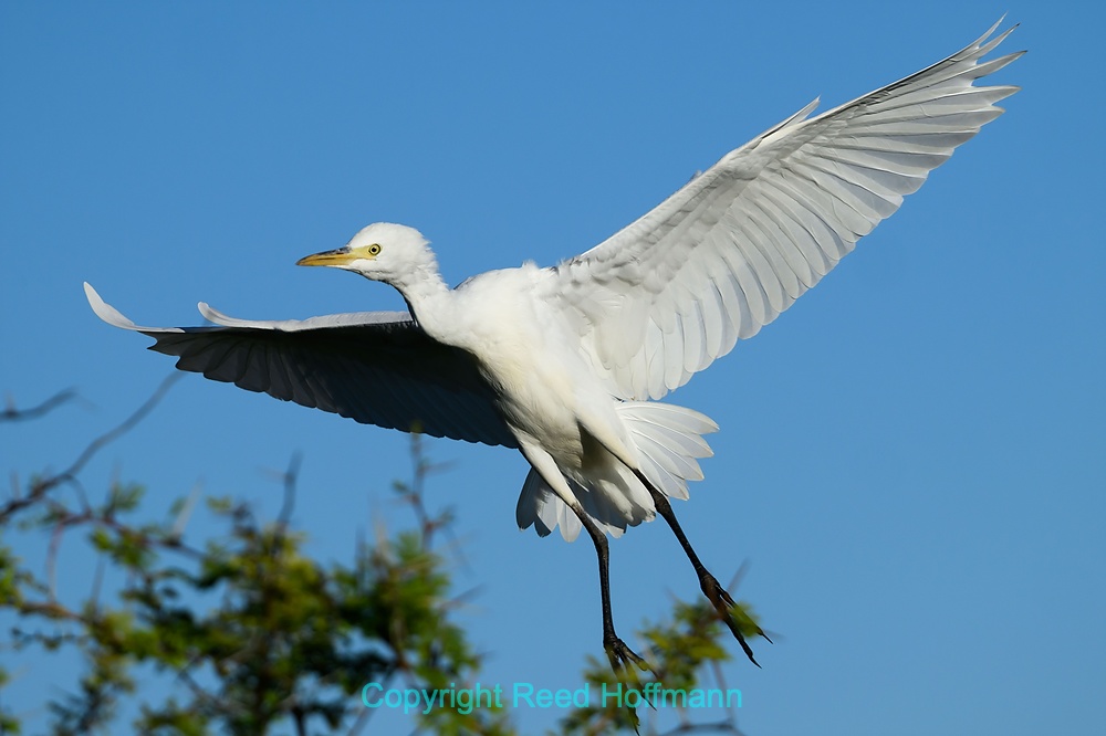 20250502_NamibiaD10_006E.DNG