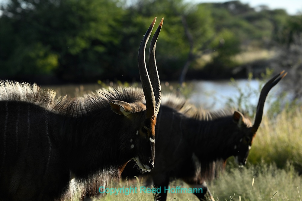 20250502_NamibiaD10_059.NEF