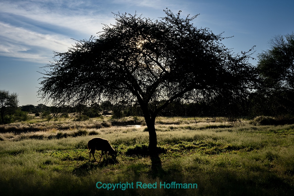 20250502_NamibiaD10_072E.DNG