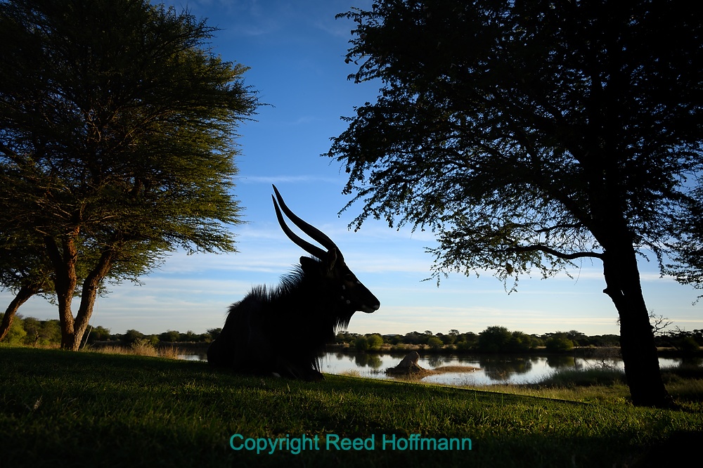 20250502_NamibiaD10_102.DNG