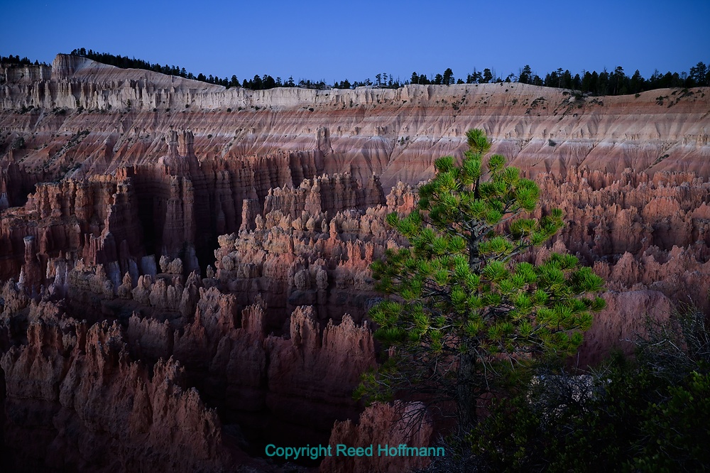 20260910_SouthwestD04_025E.DNG