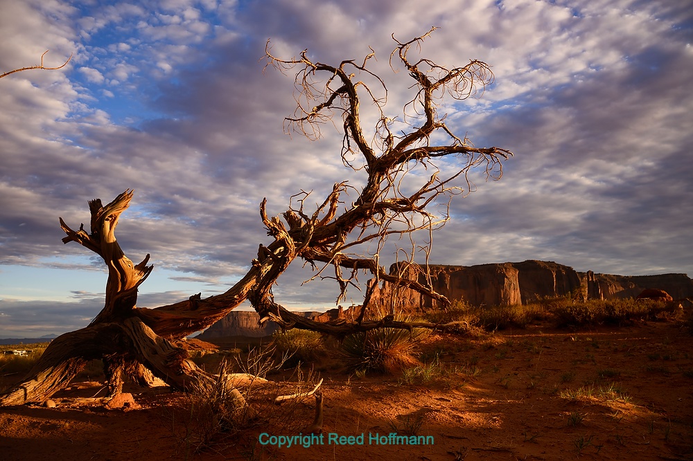 20260911_SouthwestD05_210E.DNG