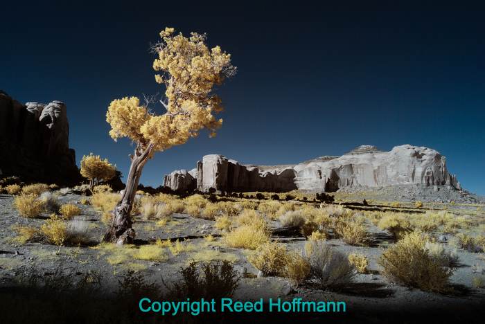 New Life for an Old Camera – Infrared