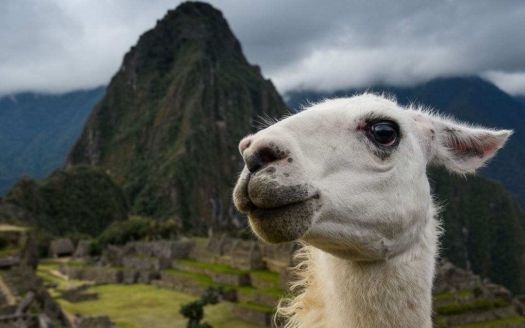 Why you should join me in Peru