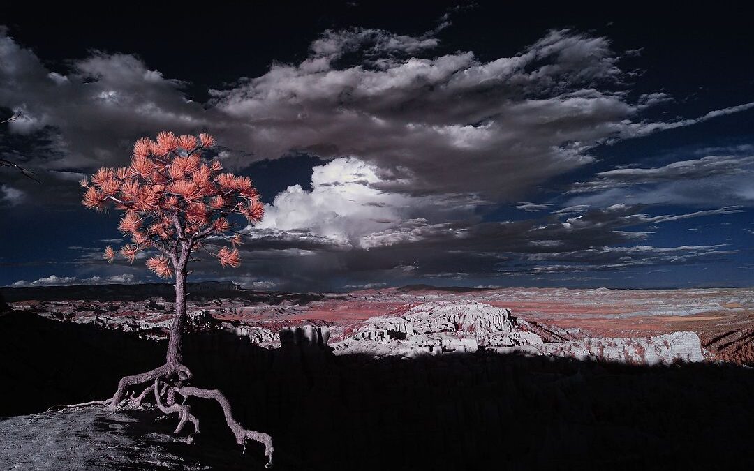 Why and How to do infrared photography