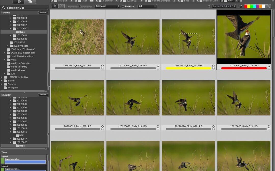 How to Turbocharge your Photography Workflow