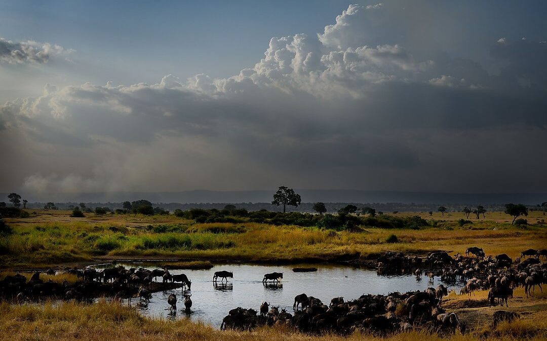 Behind the scenes on a Serengeti photo safari