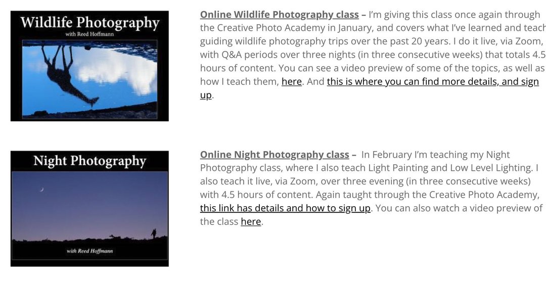New Online Photography Classes