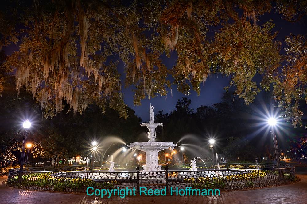 Savannah Photo Trip