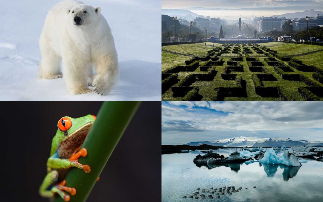 Exciting new trips, plus openings