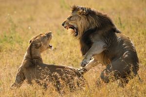 20250729_Africa08_0228E